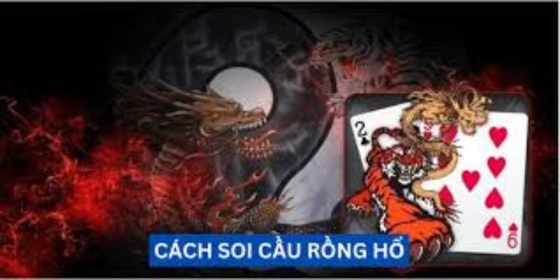 Những lưu ý quan trọng cách soi cầu rồng hổ